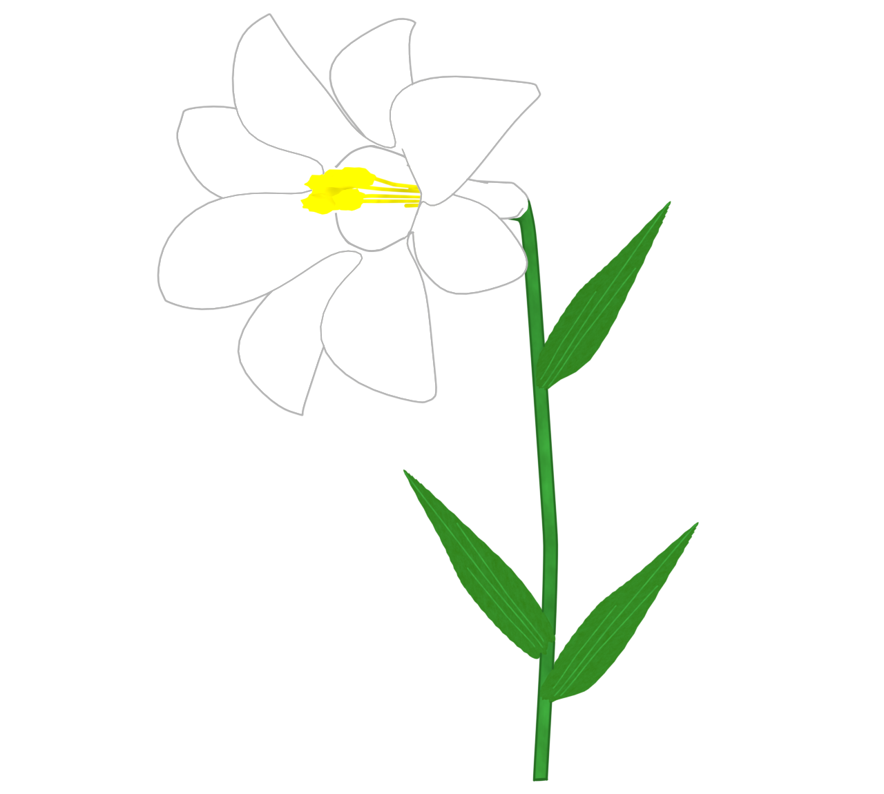 おしゃれなユリの花のイラスト
