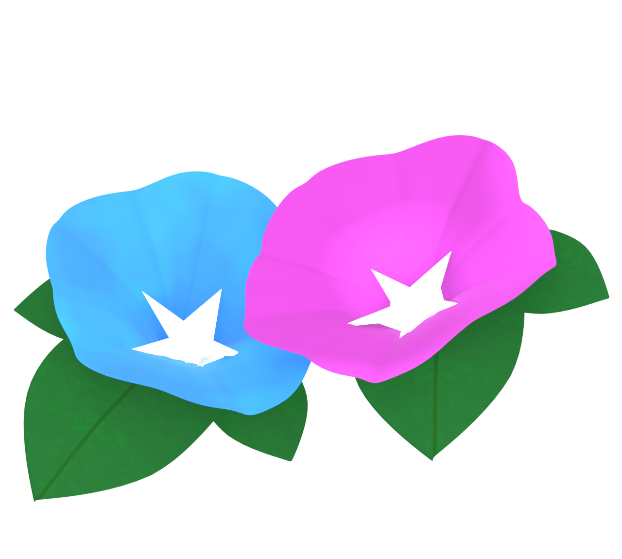 夏の朝顔のイラスト