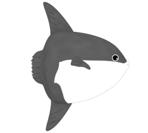 マンボウのイラスト