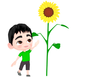 ひまわりと男の子のイラスト