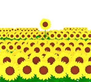 ひまわり畑のイラスト