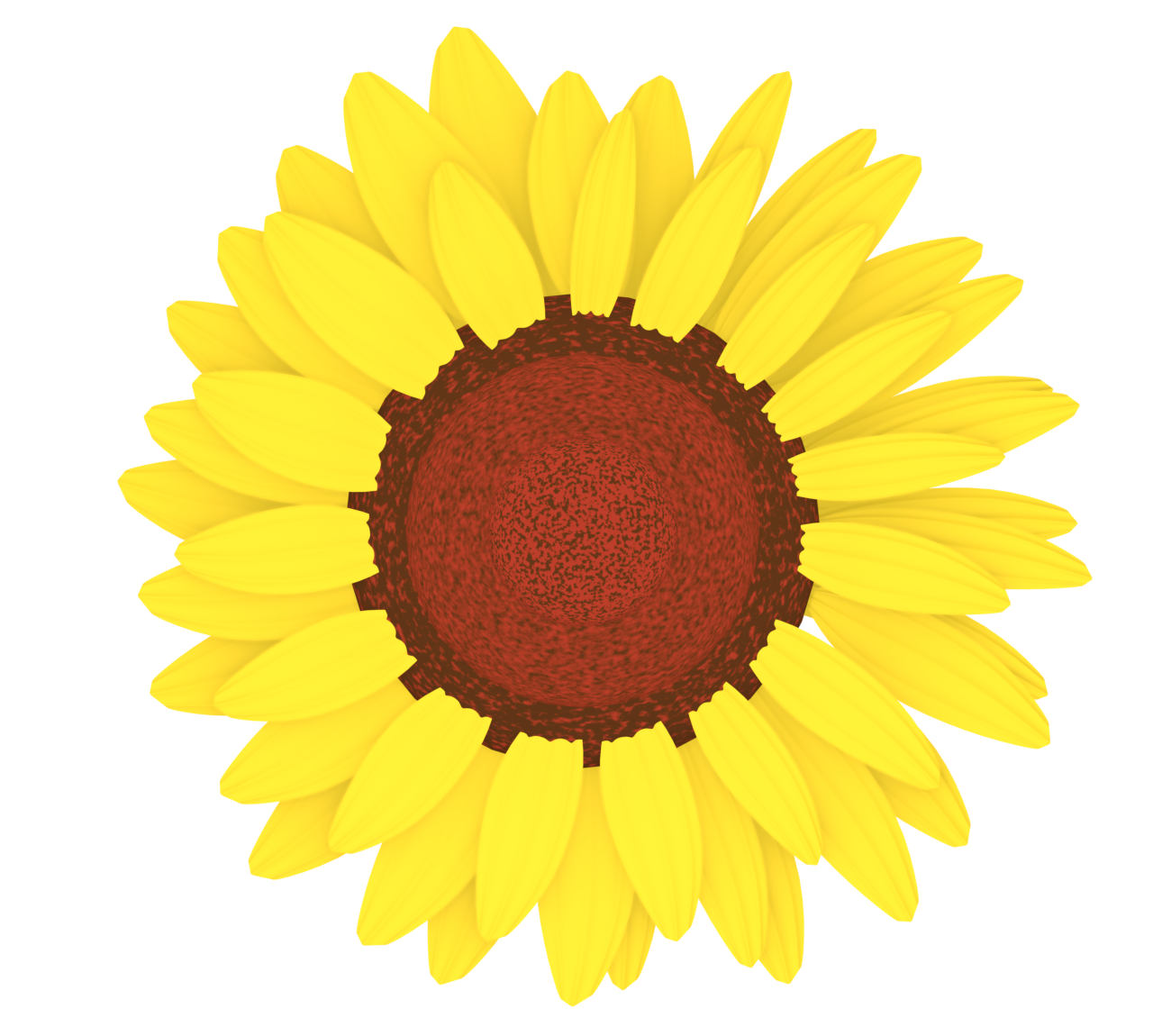 ヒマワリの花びらのイラスト