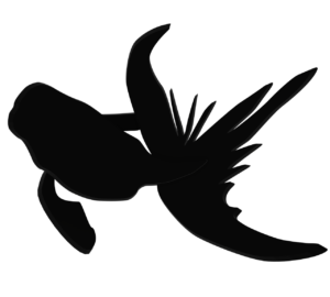 優雅に泳ぐ黒色の金魚のイラスト