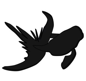 優雅に泳ぐ黒色の金魚のイラスト