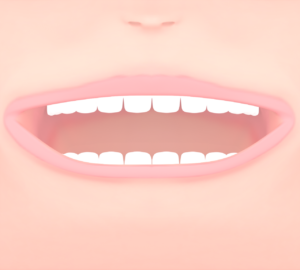 歯を見せる口のイラスト