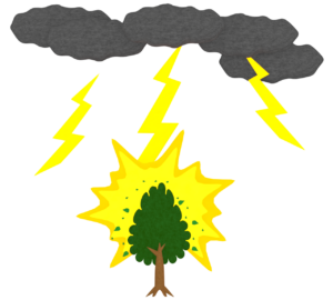 木を直撃した落雷のイラスト