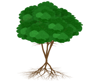 木の根っこのイラスト