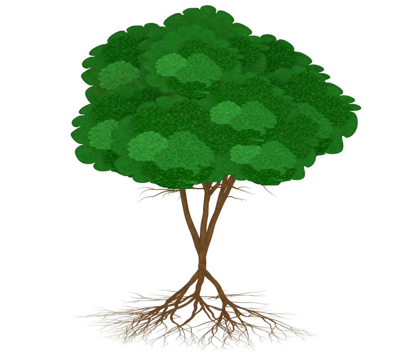 木の根っこのイラスト
