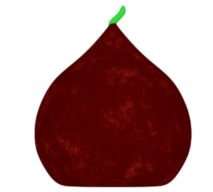 チューリップの球根のイラスト