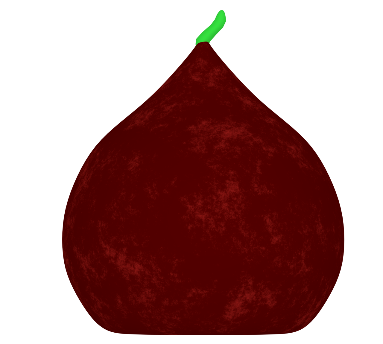 チューリップの球根のイラスト