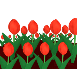 チューリップの花畑のイラスト