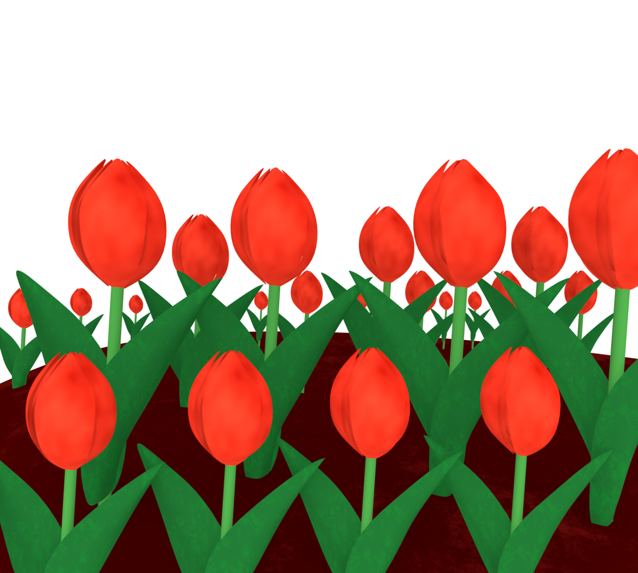 チューリップの花畑のイラスト