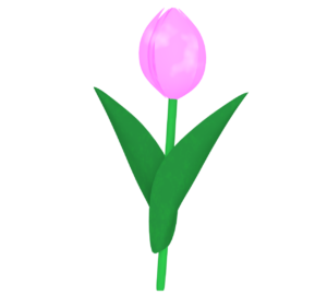 チューリップのイラスト