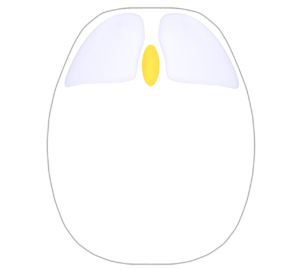 ホイールを回すマウスのイラスト