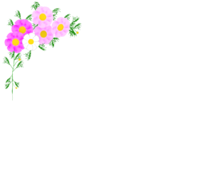 左上にあるコスモスの背景