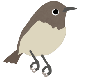 ウグイスのイラスト