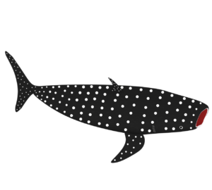 ジンベイザメのイラスト