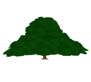 この木なんの木のイラスト