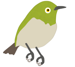 メジロのイラスト