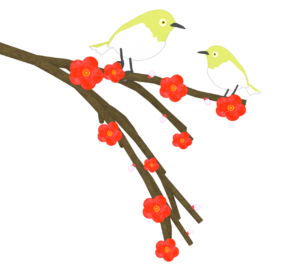 メジロと梅の花のイラスト