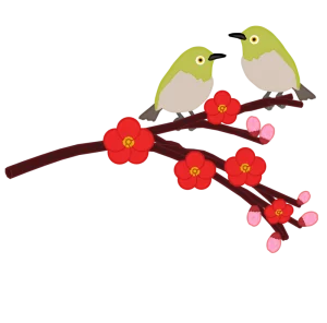 メジロと梅の花のイラスト