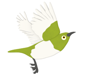 羽を広げるメジロのイラスト