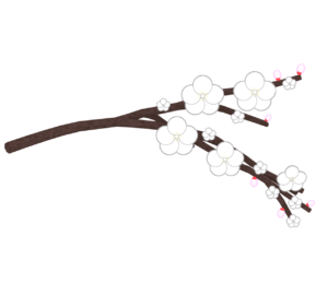 白梅の木のイラスト