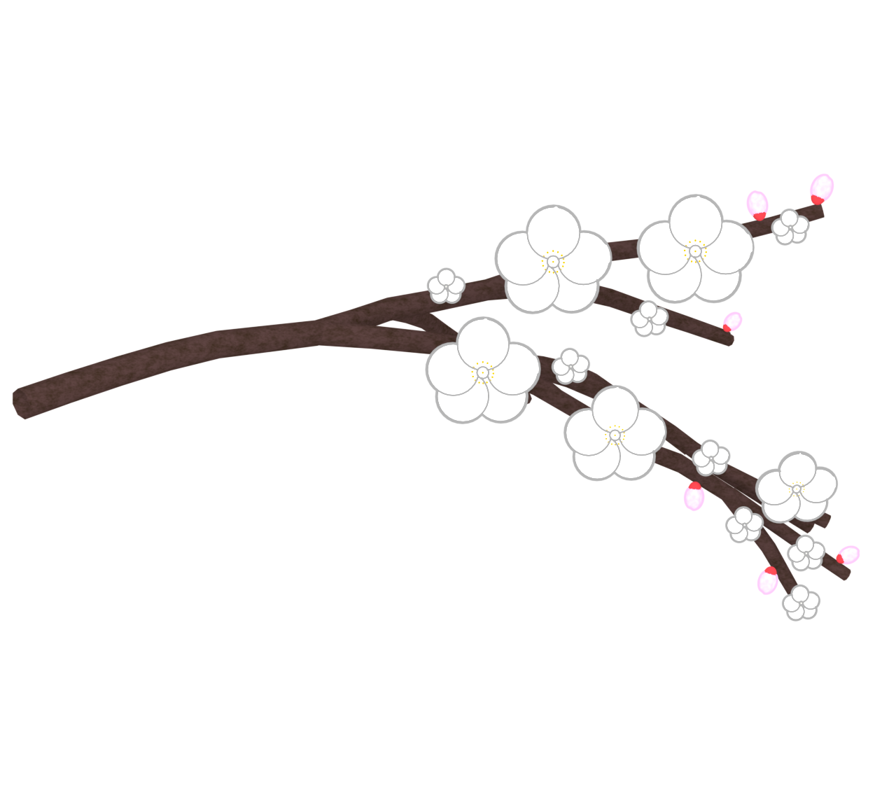 白梅の木のイラスト