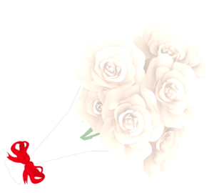 白色の薔薇の花束のイラスト