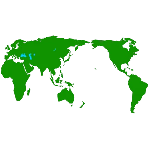 世界地図のイラスト