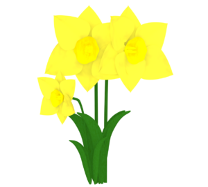 黄色い水仙のイラスト