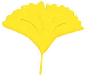 黄色いイチョウの葉っぱのイラスト