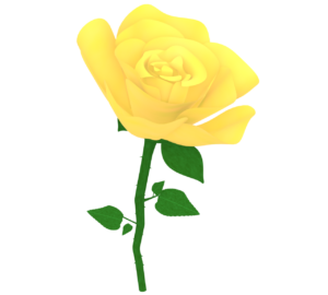 黄色い薔薇のイラスト