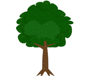 ケヤキの木のイラスト
