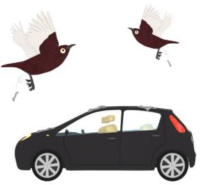 鳥のフンで汚れる車のイラスト