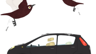 bird droppings dirty car img