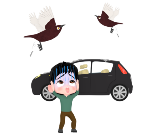 鳥のフンにショックを受ける運転手のイラスト