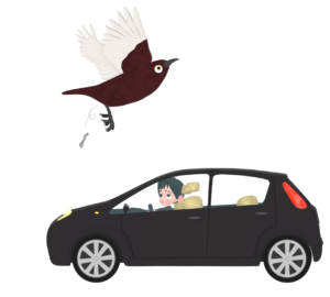 車にフンを落とす鳥のイラスト