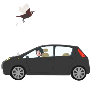 車にフンを落とす鳥のイラスト