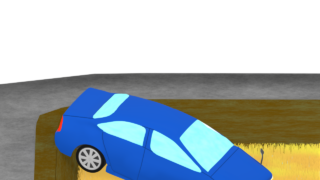 car rice field crash img