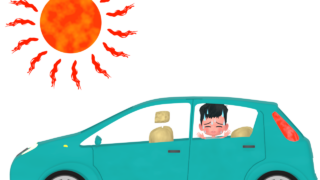 left in car img
