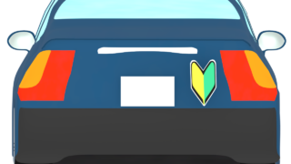 back beginner mark car img