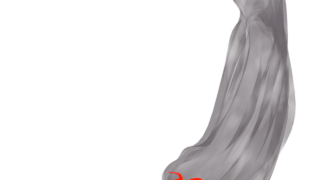 horizontal place flare img