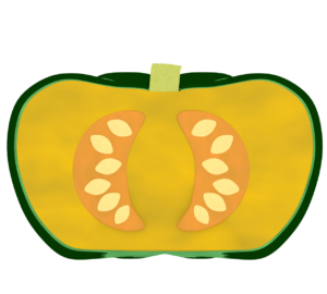 半分にカットをしたかぼちゃのイラスト