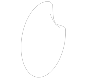 米粒のイラスト