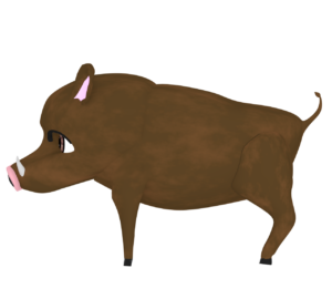イノシシのイラスト