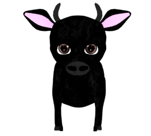 正面を向く黒牛のかわいいイラスト