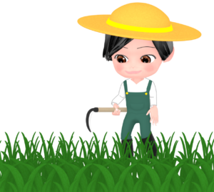 鎌で草刈りをするイラスト