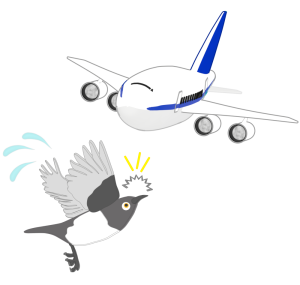 飛行機のバードストライクのイラスト