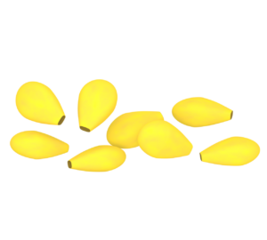 とうもろこしの粒のイラスト